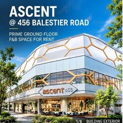 Ascent @ 456 (D12), Retail #624029341